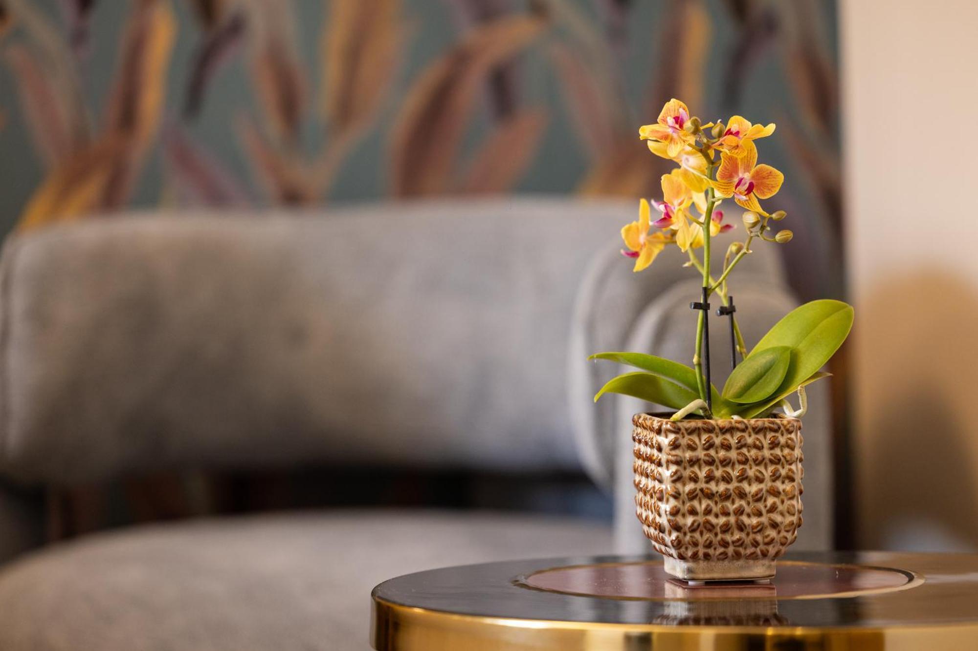 Mavi Luxury Suites Rome Exterior photo